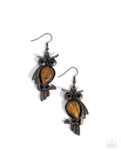 Load image into Gallery viewer, Owl Observation Brass Earrings