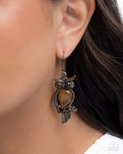 Load image into Gallery viewer, Owl Observation Brass Earrings