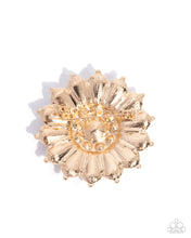 Load image into Gallery viewer, Polished Panorama Gold Brooch