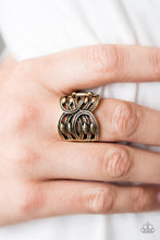Load image into Gallery viewer, The Glory Days Brass Ring
