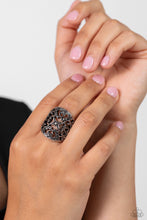 Load image into Gallery viewer, Transfixed Treasure Silver Ring