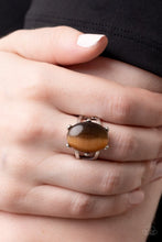 Load image into Gallery viewer, Enchantingly Everglades Brown Skinny Band Ring