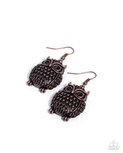 Load image into Gallery viewer, Ostentatious Owls Copper Earrings