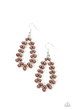Load image into Gallery viewer, Absolutely Ageless Brown Earrings