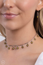 Load image into Gallery viewer, Delicate Display Black Choker