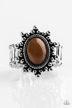 Load image into Gallery viewer, Seasonal Sunshine Brown Ring - Angie's $5.00 Bling