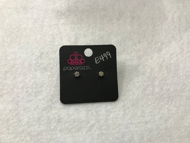 Starlet Shimmer Flower Silver Earrings #499