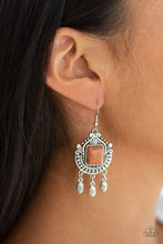 Load image into Gallery viewer, Open Pastures Brown Earrings