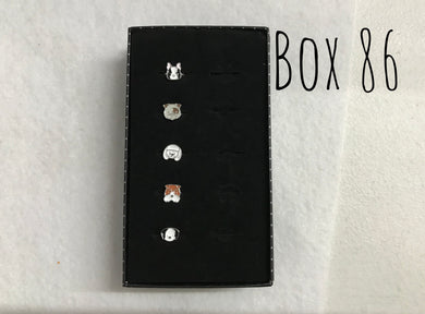 Starlet Shimmer Dogs Rings Box 86