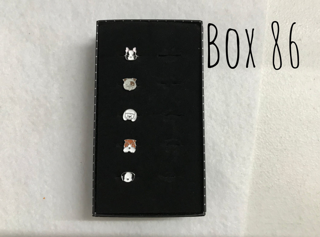 Starlet Shimmer Dogs Rings Box 86